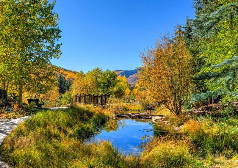 19510 Natur - Vail in Colorado Puzzle