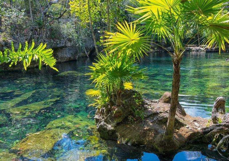 19500 Natur - Yucatan Puzzle
