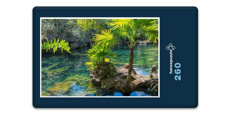 19500 Natur - Yucatan Puzzle