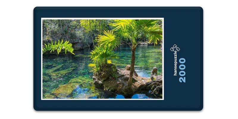 19500 Natur - Yucatan Puzzle