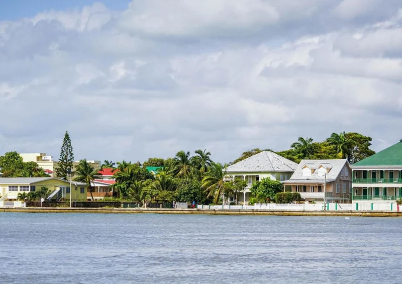 31366 Natur - Belize city Puzzle