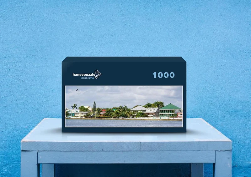 31366 Natur - Belize city Puzzle