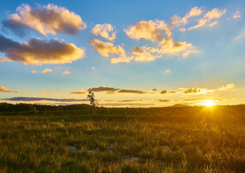 39375 Natur - Sonnenuntergang Puzzle