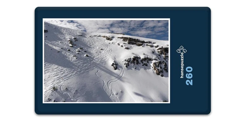 19735 Natur - Spuren im Schnee Puzzle