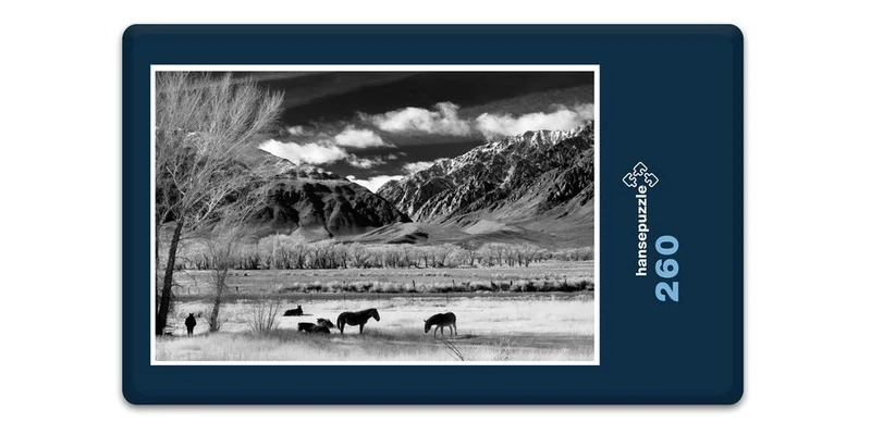 19635 Natur - Weide vor Bergland Puzzle