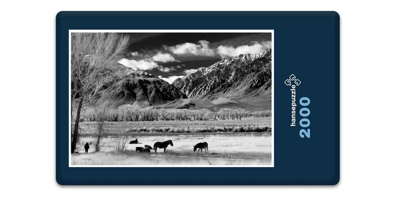 19635 Natur - Weide vor Bergland Puzzle