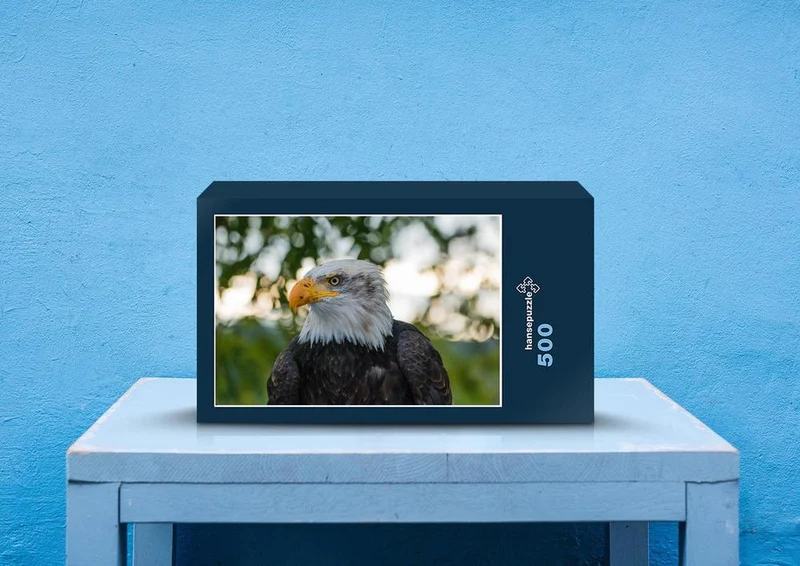 24917 Tierwelt - Weißkopf-Seeadler Puzzle