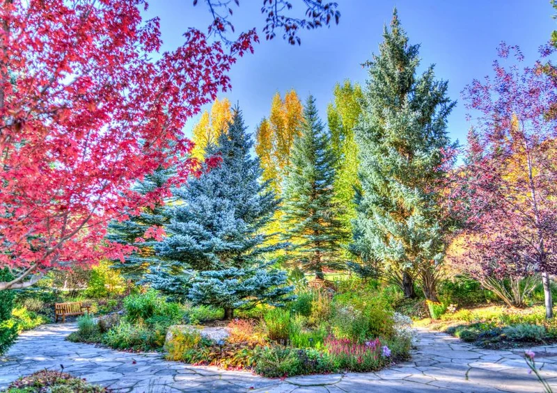 24569 Natur - Vail in Colorado Puzzle
