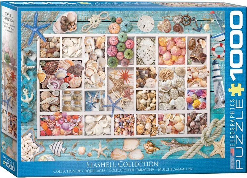 Seashell Collection