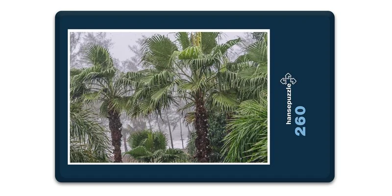 18246 Reisen - Regen-Wald Puzzle