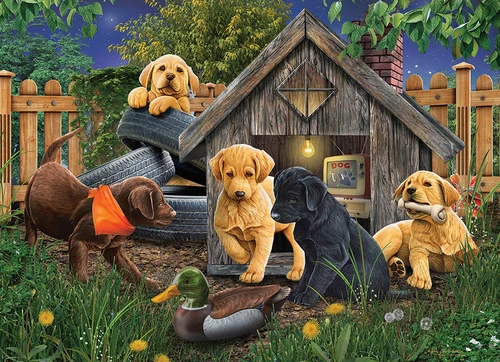 In the Doghouse, Jerry Gadamus