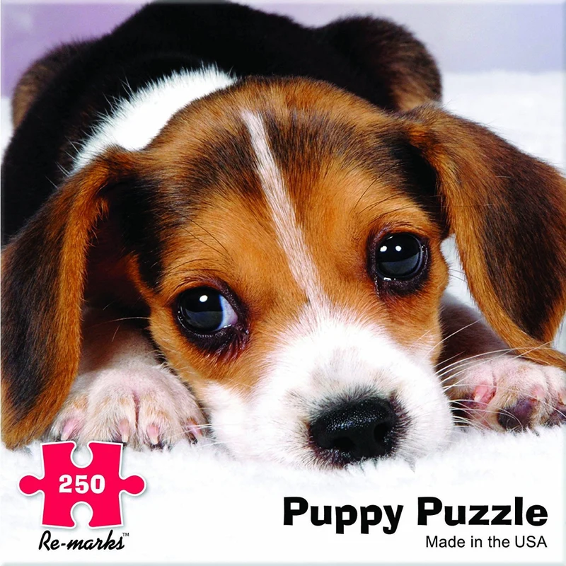 Beagle
