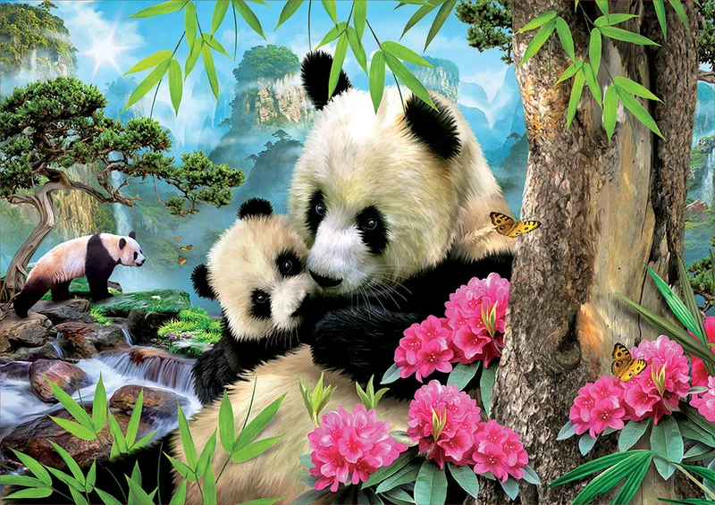 Morning Panda, Howard Robinson