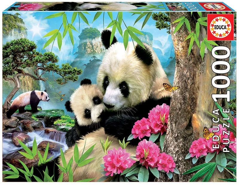 Morning Panda, Howard Robinson