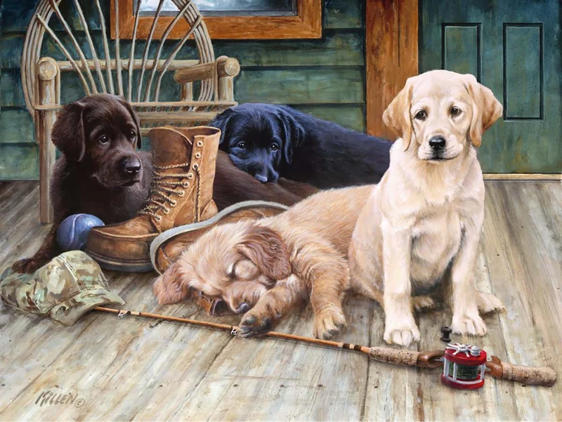 Ravensburger Ruff Day (Jour de sieste)