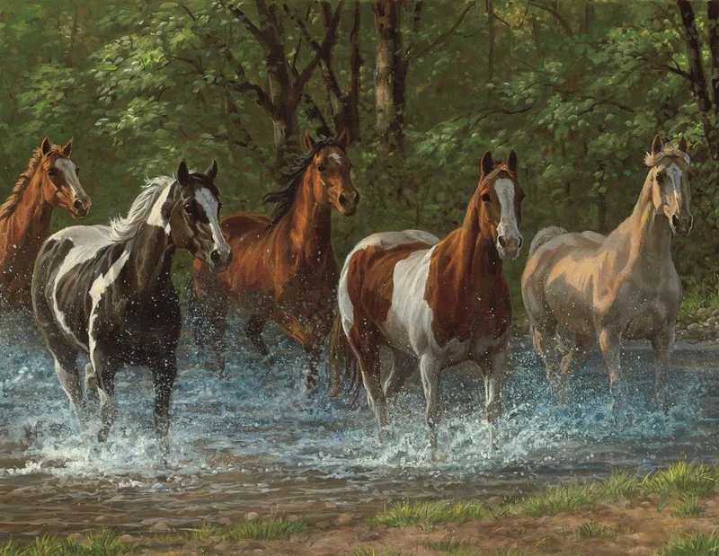 Summer Creek, Chris Cummings