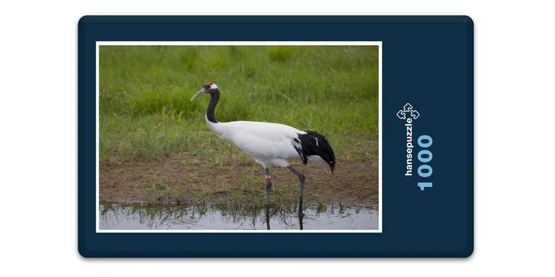19435 Tierwelt - Kranich Puzzle