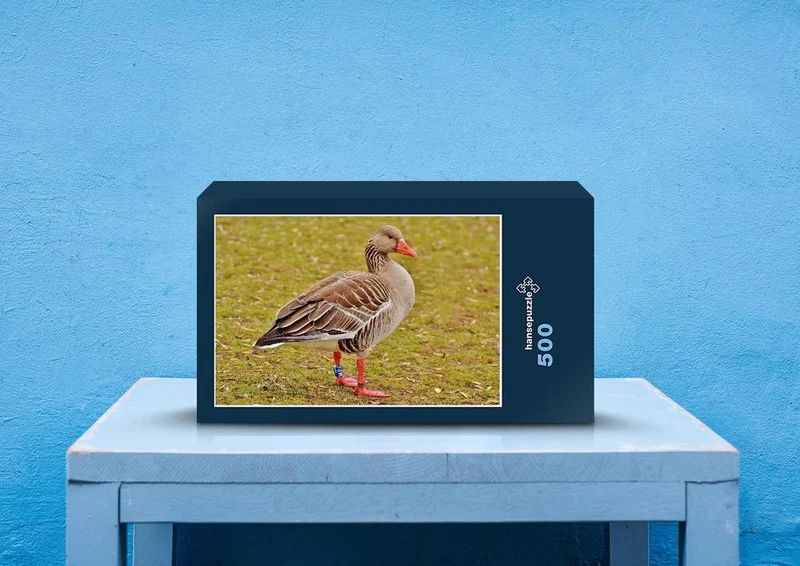 36649 Tierwelt - Gans Puzzle