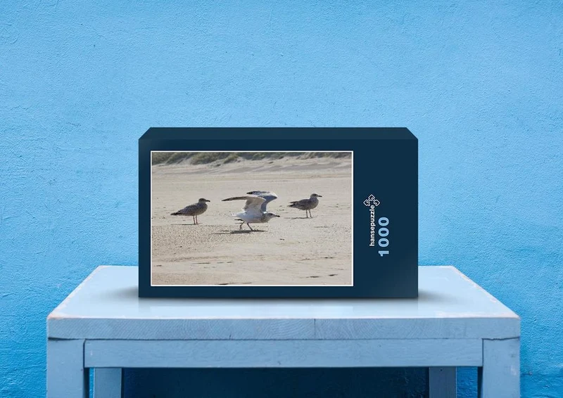 36629 Tierwelt - Möwen Puzzle