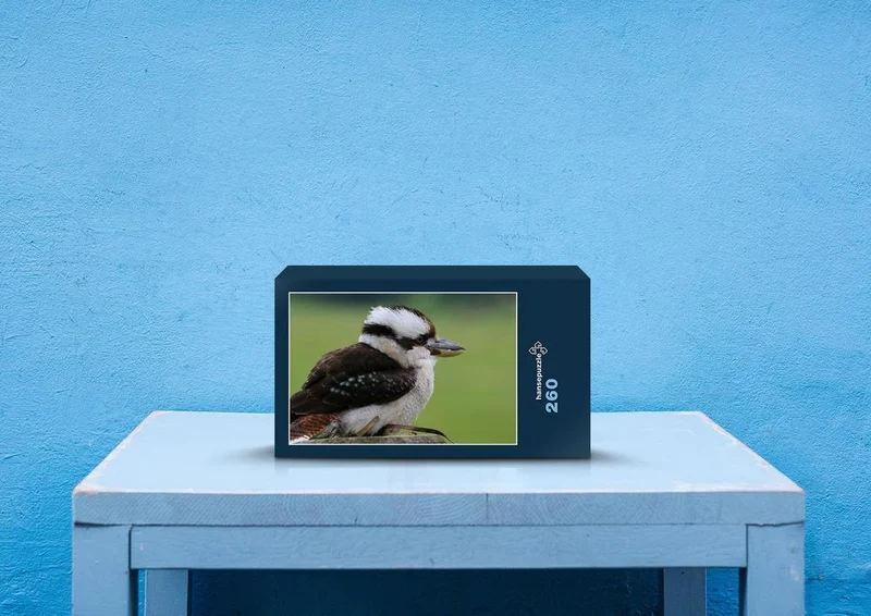 36462 Tierwelt - Kookaburra Puzzle
