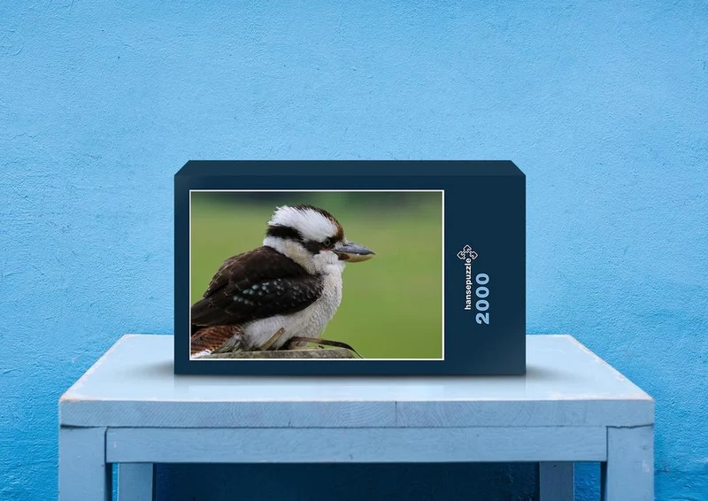 36462 Tierwelt - Kookaburra Puzzle