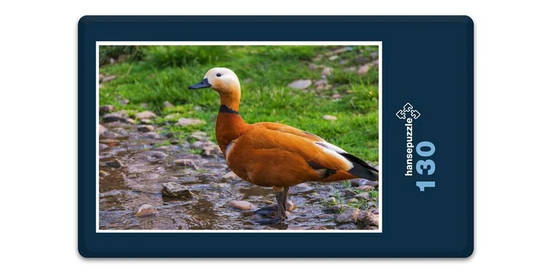 19112 Tierwelt - Rostgans Puzzle