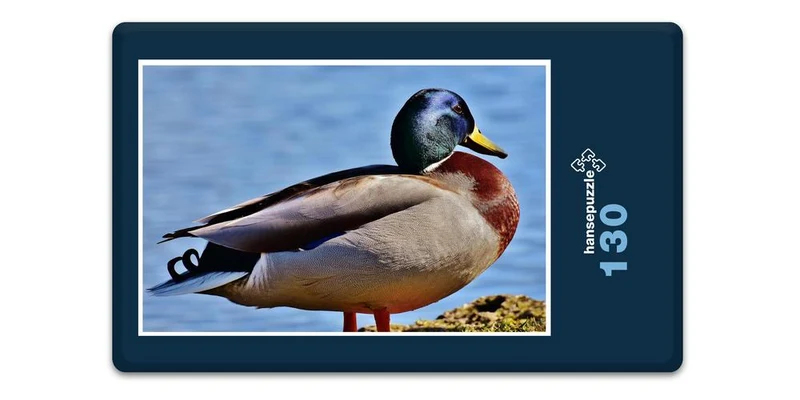 19099 Tierwelt - Ente Puzzle