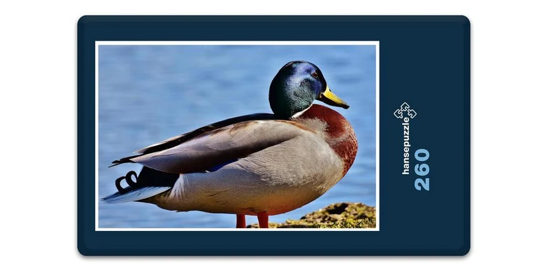 19099 Tierwelt - Ente Puzzle