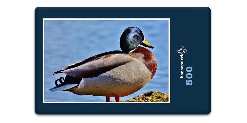 19099 Tierwelt - Ente Puzzle