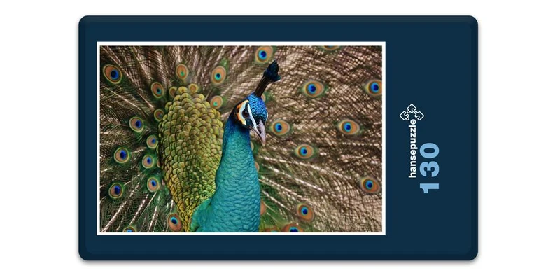 19094 Tierwelt - Pfau Puzzle