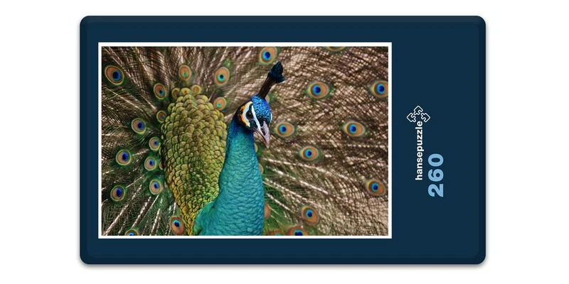 19094 Tierwelt - Pfau Puzzle