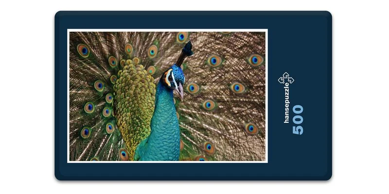 19094 Tierwelt - Pfau Puzzle