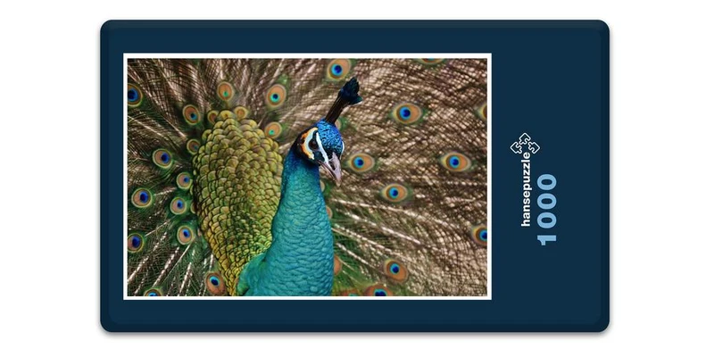 19094 Tierwelt - Pfau Puzzle