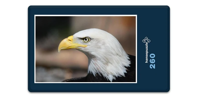 19089 Tierwelt - Adler Puzzle