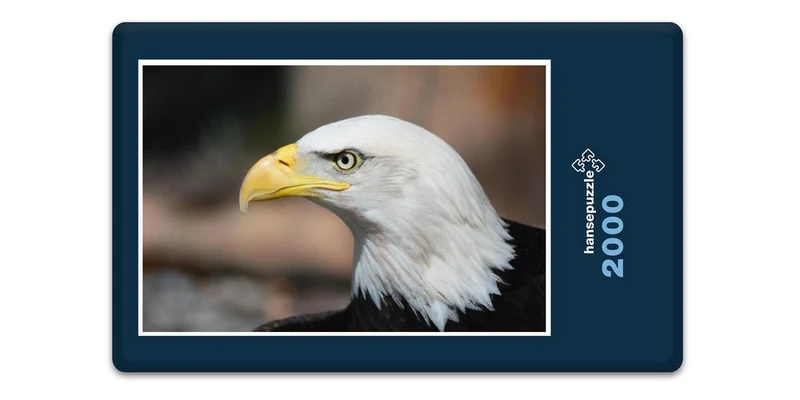 19089 Tierwelt - Adler Puzzle
