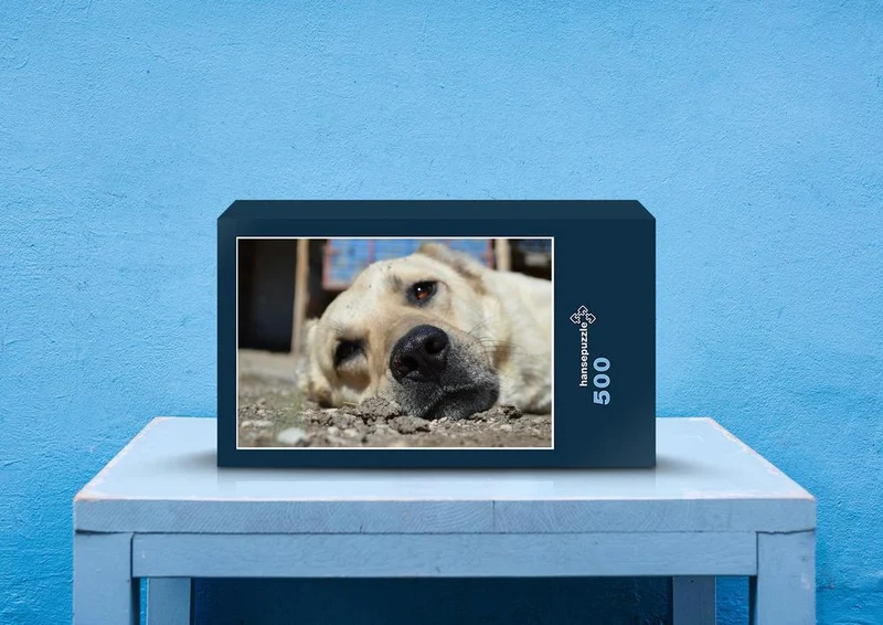 36091 Tierwelt - Hunde Puzzle
