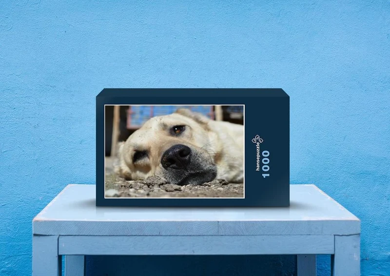 36091 Tierwelt - Hunde Puzzle