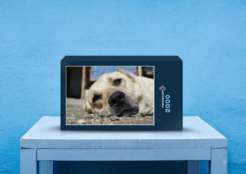 36091 Tierwelt - Hunde Puzzle
