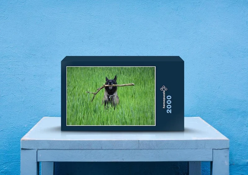 36079 Tierwelt - Hund Puzzle
