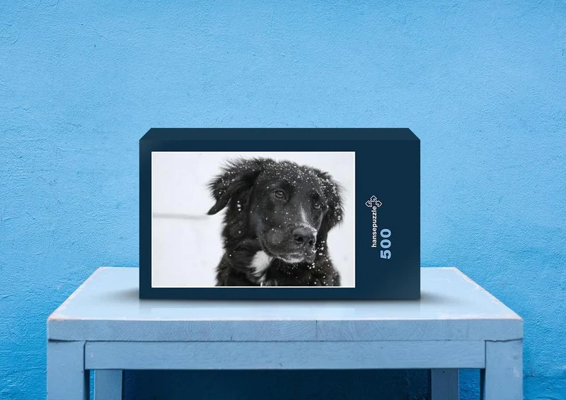 36074 Tierwelt - Border collie Puzzle
