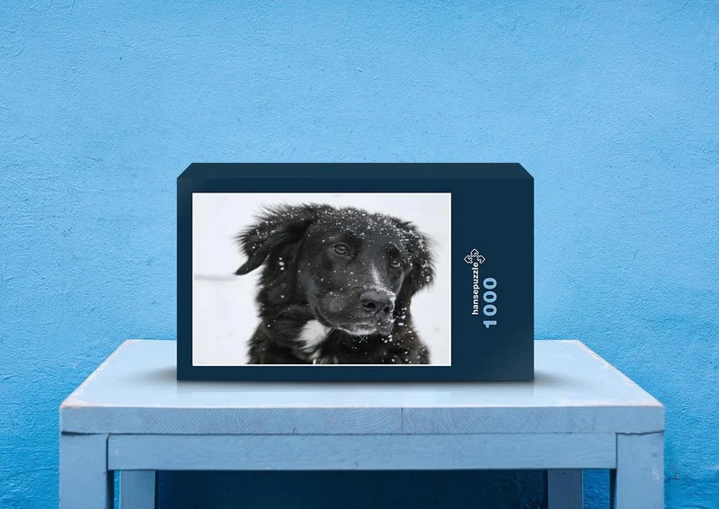 36074 Tierwelt - Border collie Puzzle