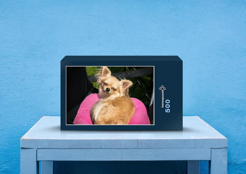 36069 Tierwelt - Chihuahua Puzzle