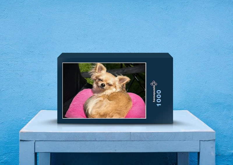 36069 Tierwelt - Chihuahua Puzzle
