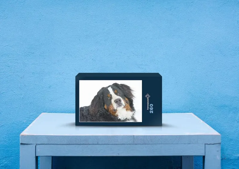 36049 Tierwelt - Hund portrait Puzzle