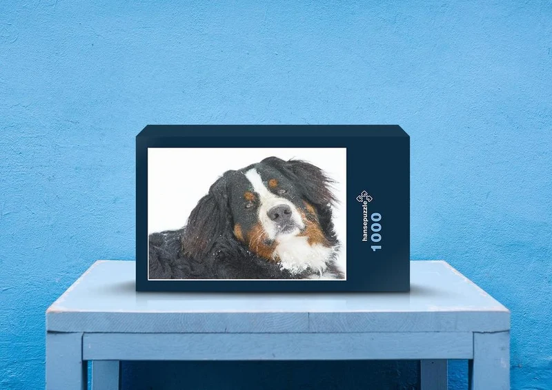 36049 Tierwelt - Hund portrait Puzzle