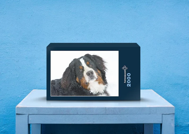 36049 Tierwelt - Hund portrait Puzzle