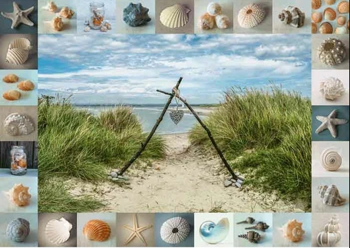 Seashore Collectibles, Assaf Frank