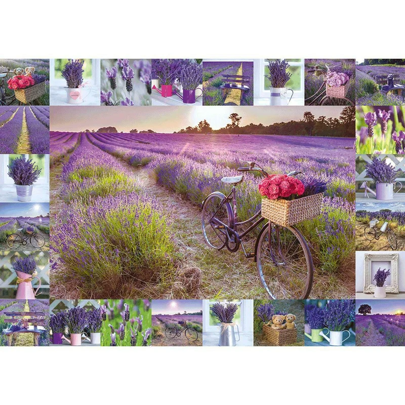 The scent of lavender (Parfum de lavande)