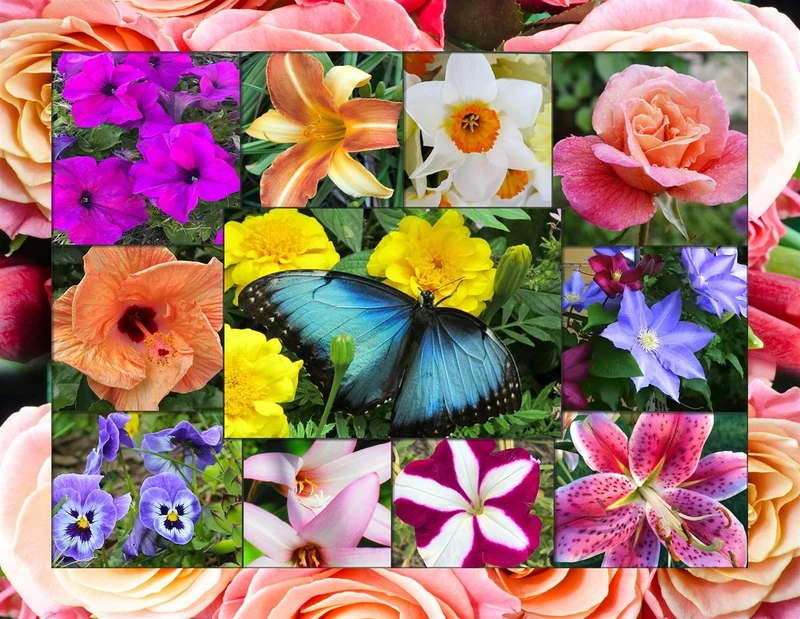In Bloom