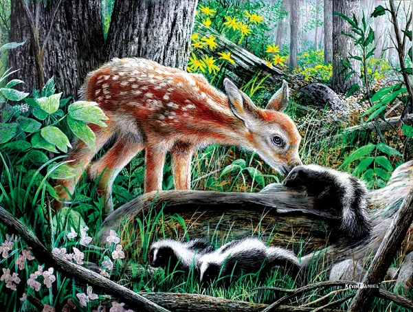 Friends of the Forest, Kevin Daniel